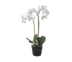 Phalaenopsis op kluit h70cm wit, kunstplant