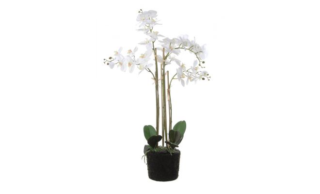 Phalaenopsis op kluit h85cm wit, kunstplant