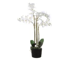 Phalaenopsis op kluit h85cm wit, kunstplant