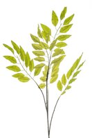 Pistaciatak, 140 cm, lichtgroen