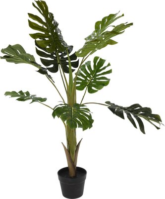 plant in pot 110cm
