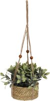 plant in zeegras pot, per stuk - afbeelding 4