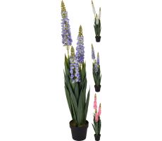 Plant, lily, 120 cm, per stuk