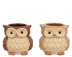 Planter keramiek owl fully glazed, assortie, L 10,7 cm x B 10 cm x H 10,1 cm, keuze uit 1 stuks
