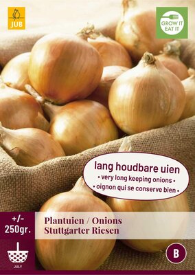 Plantuien stuttgarter riesen 250g