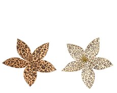 Poinsettia op clip polyester fluweel, assortie, Ø 20 cm x H 6 cm, keuze uit 1 stuks
