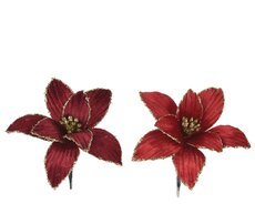 Poinsettia op clip polyester fluweel, rood/kleur(en), Ø 13 cm x H 5 cm, keuze uit 1 stuks
