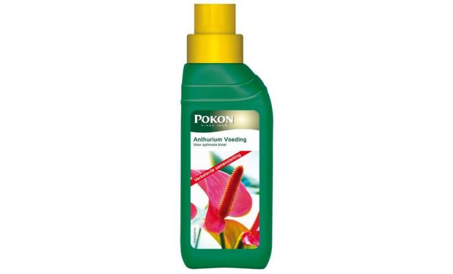 Pokon Anthurium Voeding 250ml - afbeelding 1