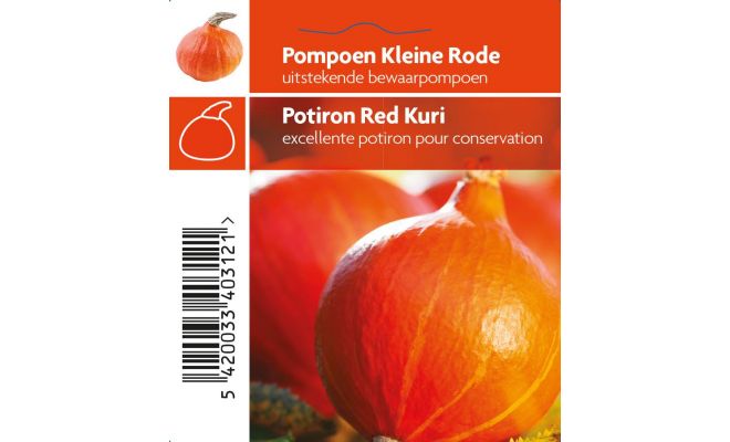 Pompoen, kleine, rode