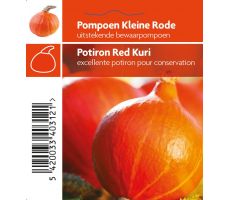 Pompoen, kleine, rode