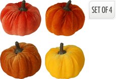 pompoen velvet 6cm, per stuk