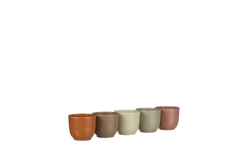 Lijm Wennen aan Compatibel met Pot, tusca, groen, b 8 cm, h 7 cm, meerdere variaties, Mica Decorations -  Tuincentrum Bull