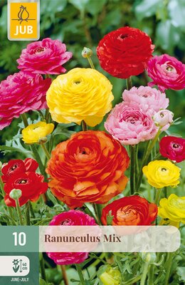 Ranunculus Mix, 10 stuks