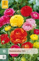 Ranunculus Mix, 10 stuks