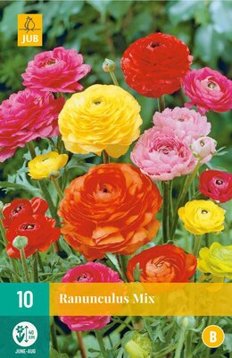 Ranunculus mix 10st