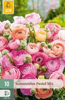 Ranunculus Pastel Mix, 10 stuks