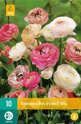 Ranunculus pastel mix 10st