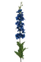 Ridderspoorsteel, 90 cm, blauw