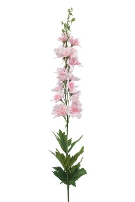 Ridderspoorsteel, 90 cm, roze