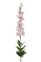 Ridderspoorsteel, 90 cm, roze