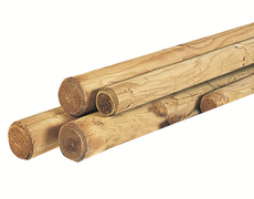 Grenen ronde paal cilindrisch gefreesd 1 zijde gepunt 1 zijde gekroond, Ø 6 x 250 cm, groen geïmpreg - afbeelding 3
