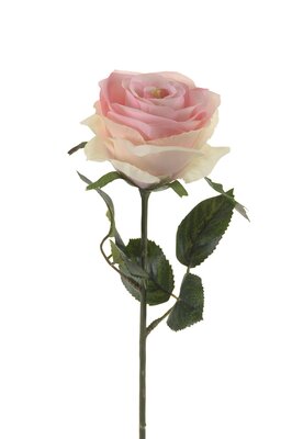 Roossteel, 45 cm, lichtroze
