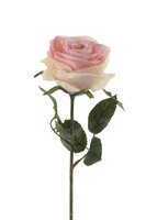 Roossteel, 45 cm, lichtroze