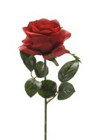 Roossteel, 45 cm, rood
