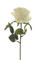 Roossteel, 45 cm, wit
