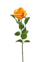 Roossteel, 63 cm, geel