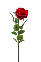 Roossteel, 63 cm, rood