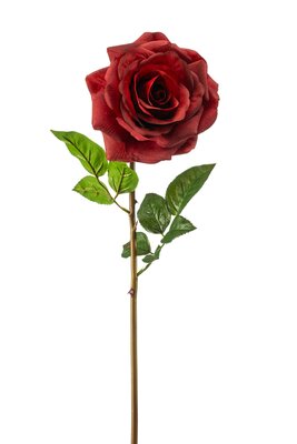 Roossteel, 68 cm, rood