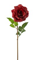 Roossteel, 68 cm, rood