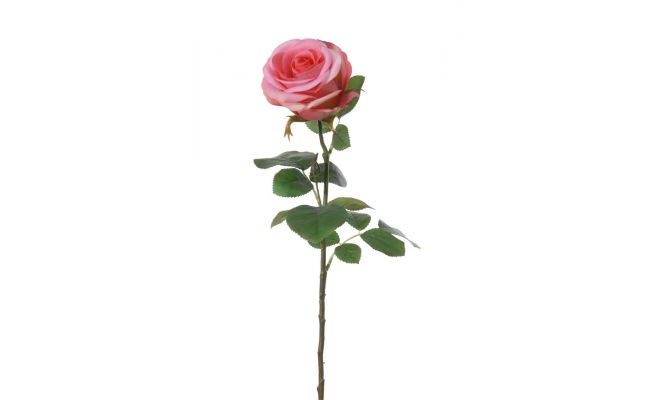 Roossteel l68cm roze, kunstplant