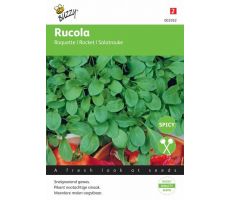 Rucola coltivata 5g