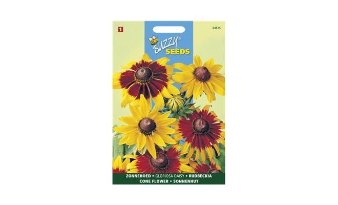 Rudbeckia hirta gloriosa daisy 0.5g - afbeelding 1