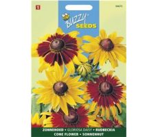 Rudbeckia hirta gloriosa daisy 0.5g - afbeelding 1