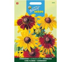 Rudbeckia hirta gloriosa daisy 0.5g - afbeelding 2