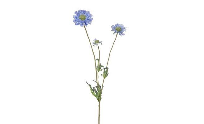 Scabiosasteel, blauw, l 62 cm, kunstplant