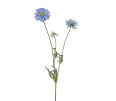 Scabiosasteel, blauw, l 62 cm, kunstplant