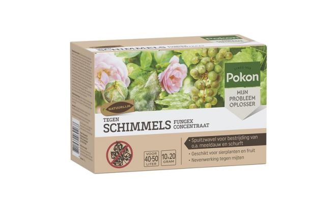 Schimmels 180g 3x60g