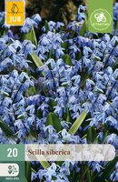 Scilla siberica, 20 stuks
