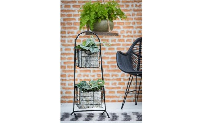 Scindapsus Pictus Trebie, hangpot 14 cm - afbeelding 1