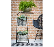 Scindapsus Pictus Trebie, hangpot 14 cm - afbeelding 1