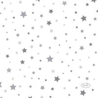 Servet l24b24cm silvr stardust 20st