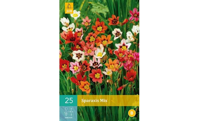 Sparaxis mix 25st - afbeelding 1