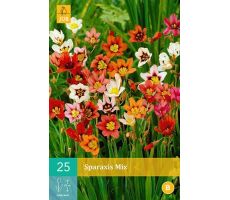 Sparaxis mix 25st - afbeelding 3