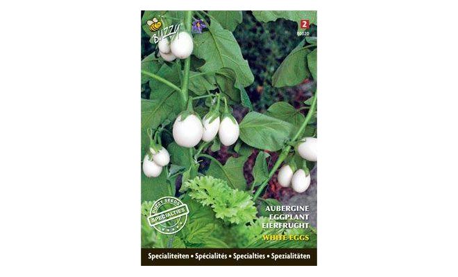 Specialties aubergine white e. 0.2g - afbeelding 1
