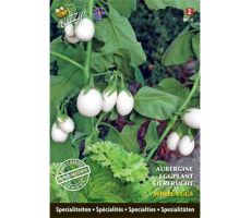 Specialties aubergine white e. 0.2g - afbeelding 1