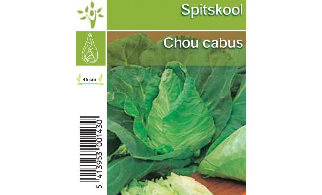 Spitskool